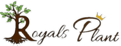 Logo_2-removebg-preview-Photoroom (4)